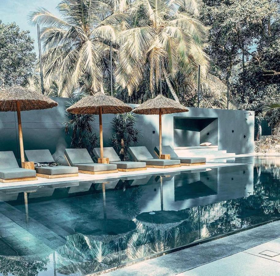 The Salty Pelican Yoga & Surf Retreat Dikwella Εξωτερικό φωτογραφία